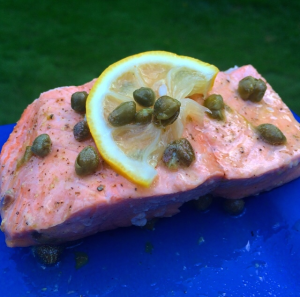 salmon